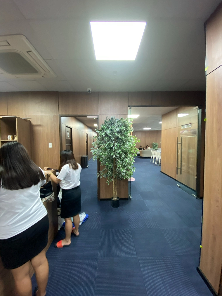 14樓膠囊