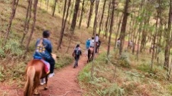 碧瑤JIC-PREMIUM遊學,假日旅遊行程